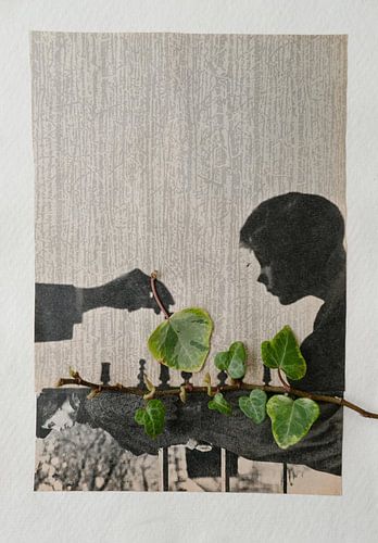 the queen's gambit hedra