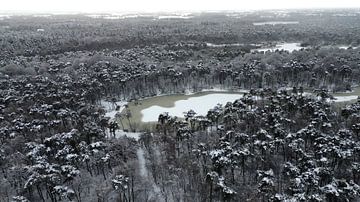 Oisterwijk | Van Esschenven #4 by Marco van Loon