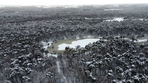Oisterwijk | Van Esschenven #4