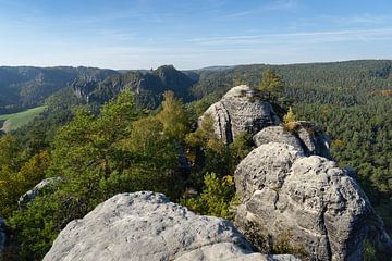 De toppen van de Gamrig en bomen in de herfst van Heidemuellerin