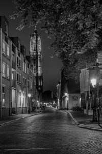 #3 Utrecht 7