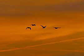 sunrise by Gh Verver Photography