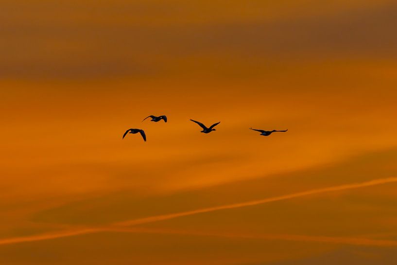 sunrise by Gh Verver Photography