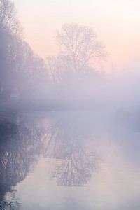 Auf dem Dender früh am Morgen