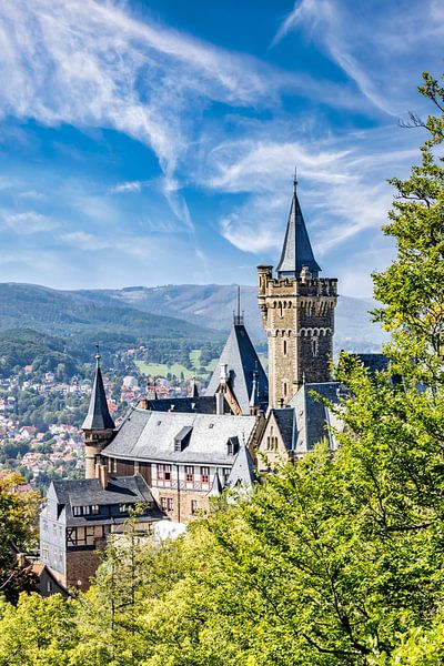 Aussicht vom Agnesberg auf das Schloss Wernigerode von Melanie Viola