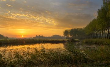 Goldener Sonnenaufgang in den Niederlanden von Jos Pannekoek
