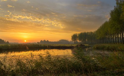Gouden zonsopkomst in Nederland