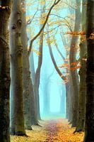 Vergessener Nebel