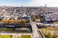Uitzicht vanuit Notre-Dame over Parijs van Werner Dieterich thumbnail