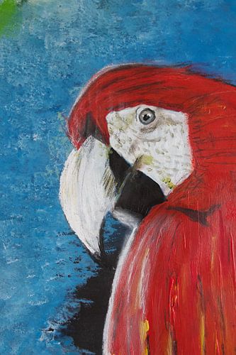 2 parrots 2 by Susanne A. Pasquay