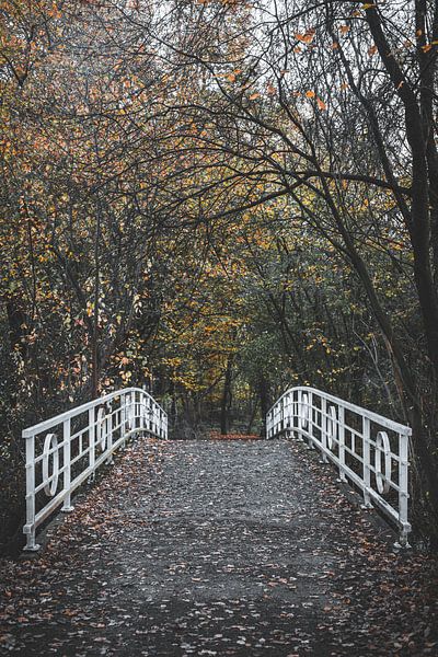 Un pont dans le parc par Alwin van Wijngaarden