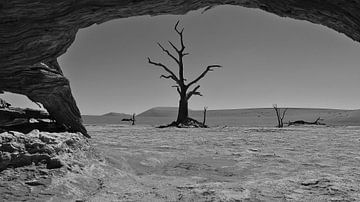 Les arbres morts à Sossusvlei en noir et blanc sur Timon Schneider