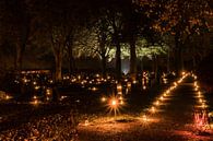 Lichtjesavond bij de Jacobuskerk in Rolde van Fred van Bergeijk thumbnail