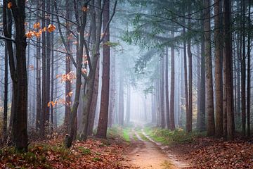 Verloren in einem Traum von Tvurk Photography