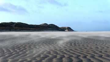 Der Strand von Terschelling von Tineke Visscher