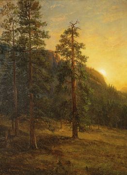 California Redwoods, Albert Bierstadt