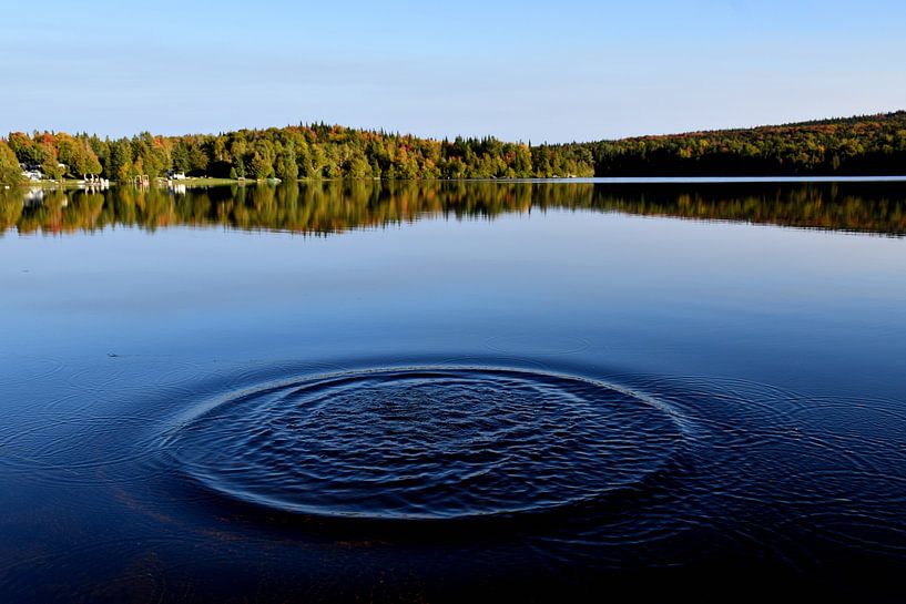 Spiegelung auf dem See im Herbst von Claude Laprise