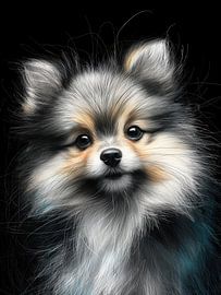Pomeraniam dog art #dog