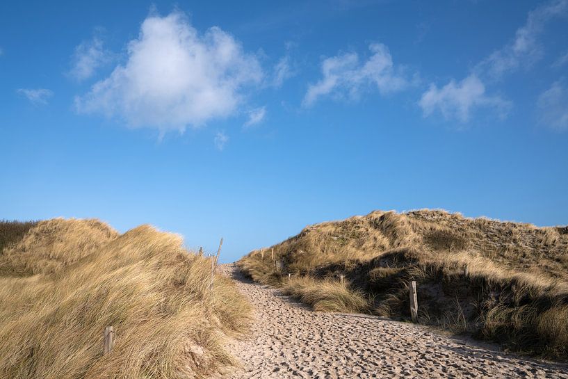 Sylt, Noord-Friesland, Duitsland van Alexander Ludwig
