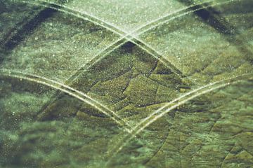 Abstract patroon van gebogen lijnen in mos groen van Lisette Rijkers