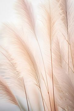Feather grass by Steffen Gierok