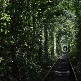 Tunnel de l'amour sur Harold de Groot