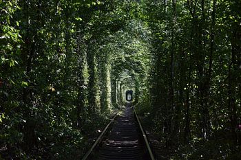 Tunnel de l'amour