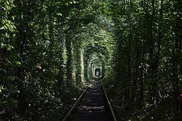 Tunnel de l'amour sur Harold de Groot