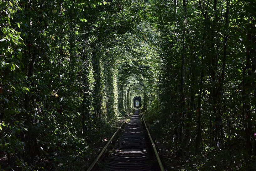 Tunnel of love van Harold de Groot