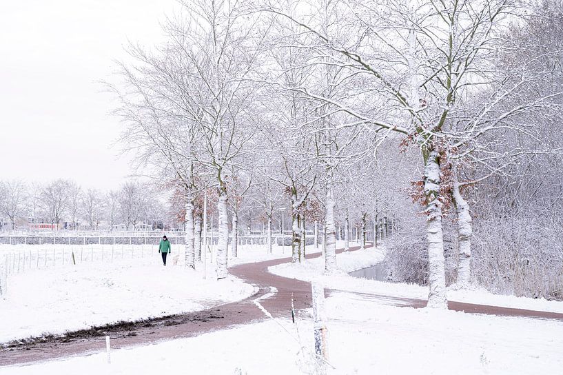 Matin d'hiver par Arthur Hooijer