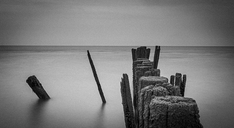 The Kerf near Schoorl in black and white by peterheinspictures