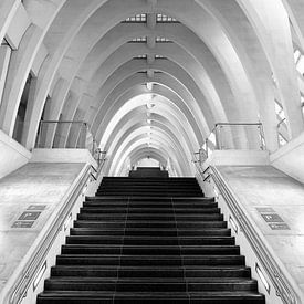 Stairs - Modern architecture by Rolf Schnepp