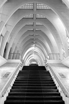 Stairs - Modern architecture by Rolf Schnepp
