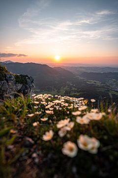 coucher de soleil fleuri sur le Sorgschrofen sur Leo Schindzielorz