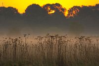 Zonsopgang