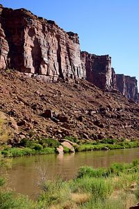 Grün, das sich im Colorado-Fluss spiegelt