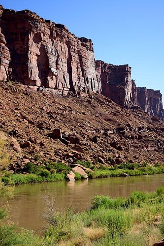 Groen weerspiegeld in de Colorado rivier