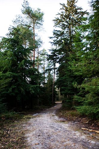 Het Leesten Ugchelen (The Netherlands)