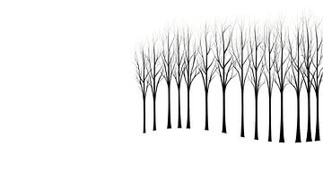 Silent row of trees by Frank Heinz