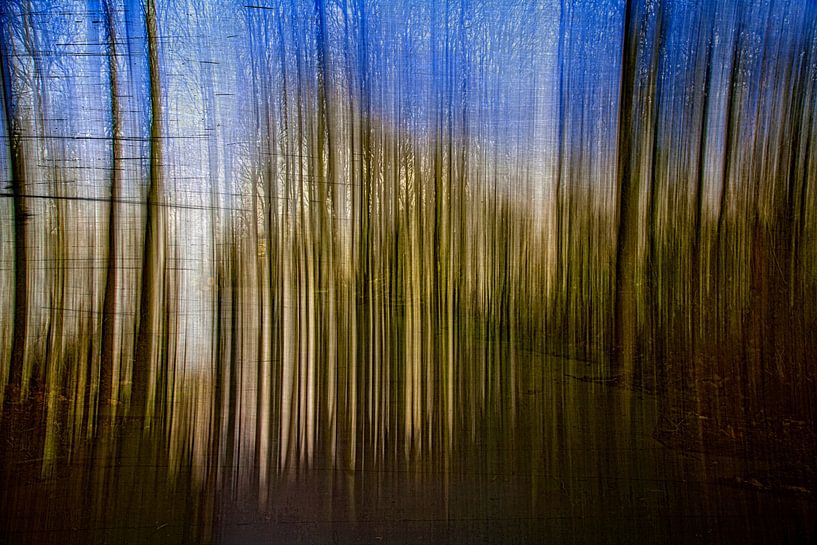 Surrealistisch bos von Eline Verhaeghe