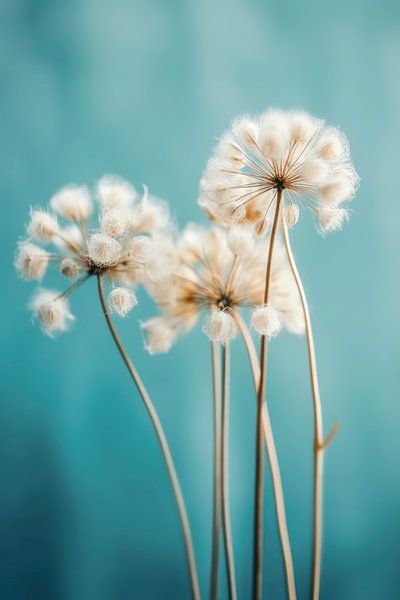 Fluffy Flowers by Treechild