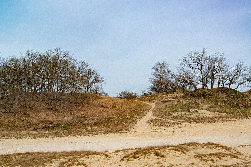 Loonse and Drunense Dunes by Truckpowerr