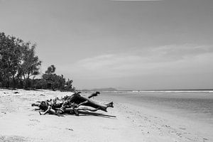Bois flotté sur la plage sur Femke Ketelaar