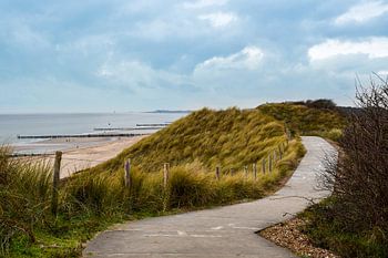 Les dunes de Walcheren