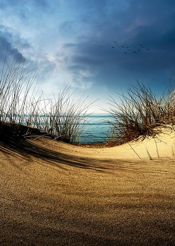 Dunes...........