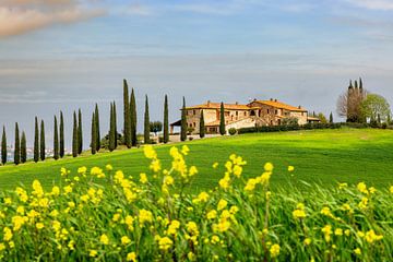 Frühling im Val d'Orcia