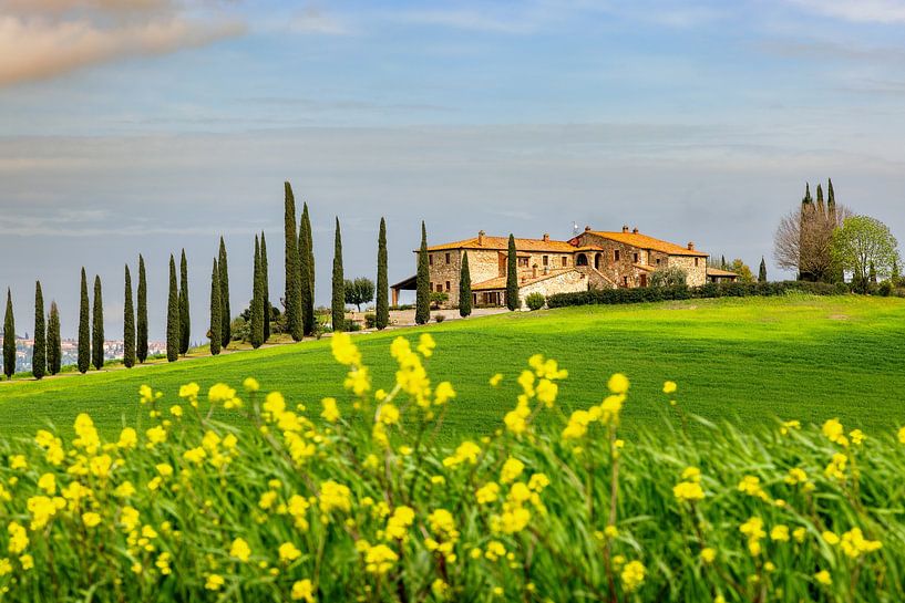 Frühling im Val d'Orcia von Dirk Rüter
