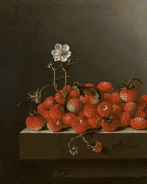 Nature morte avec des fraises des bois, Adriaen Coorte