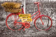 Rode oude fiets van Willem Visser thumbnail