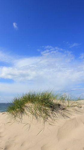 May on the beach